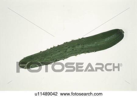 Cucumber View Large Photo Image Stock Image - Cucumber. Fotosearch