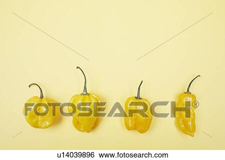 Four yellow bell peppers in a row View Large Photo Image Stock Photograph - Four yellow bell peppers in a row. Fotosearch