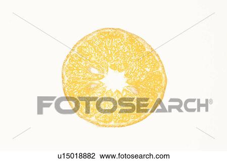 Mandarin Orange Round Slice View Large Photo Image Stock Image - Mandarin Orange Round Slice. Fotosearch