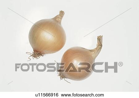 Stock Photograph - Pearl Onions. Fotosearch