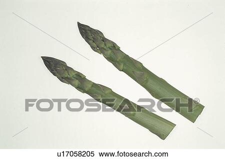 Two Asparagus View Large Photo Image Stock Photography - Two Asparagus. Fotosearch