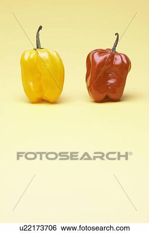 Two bell peppers View Large Photo Image Stock Photograph - Two bell peppers. Fotosearch