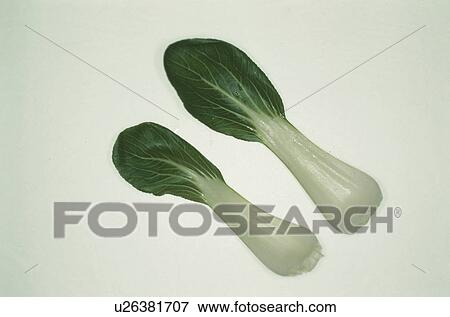 Two Bok Choy View Large Photo Image Stock Photo - Two Bok Choy. Fotosearch