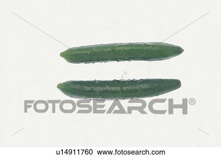 Two Cucumbers View Large Photo Image Stock Image - Two Cucumbers. Fotosearch