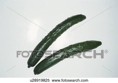Two Cucumbers View Large Photo Image Stock Photography - Two Cucumbers. Fotosearch