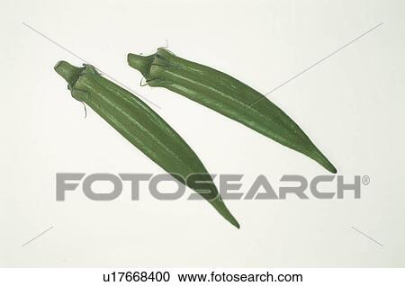 Stock Image - Two Okra. Fotosearch