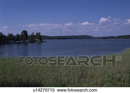 Stock Photography - A Forest And A Lake. Fotosearch