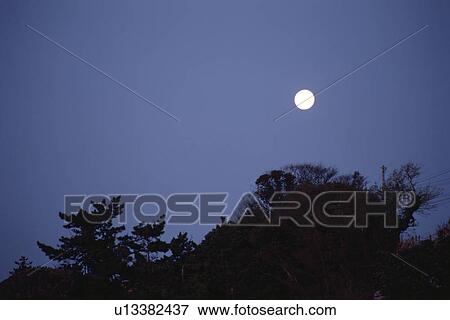 A Full Moon And A Forest View Large Photo Image Stock Photo - A Full Moon And A Forest. Fotosearch