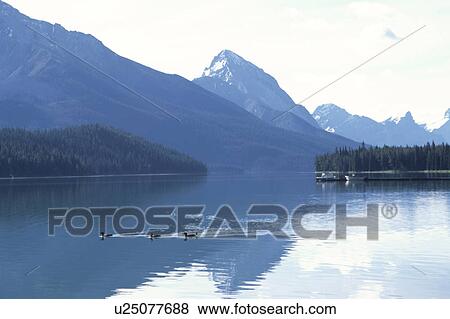 Stock Photo - Maligne Lake. Fotosearch