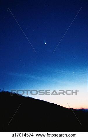 Stars Above Silhouetted Forest View Large Photo Image Picture - Stars Above Silhouetted Forest. Fotosearch