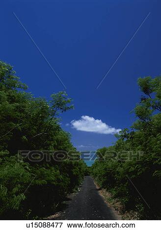 Stock Photo - The Straight Road Connected To The Sea. Fotosearch