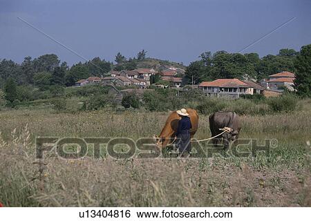 Agricultural Work View Large Photo Image Stock Photograph - Agricultural Work. Fotosearch