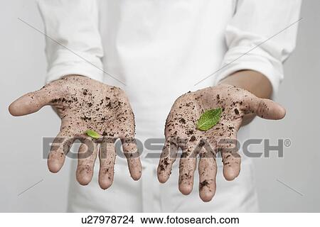 Picture - Mint leaves on dirty hands (close-up). Fotosearch