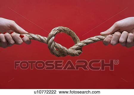 Two hands tying knot (close-up) View Large Photo Image Stock Image - Two hands tying knot (close-up). Fotosearch