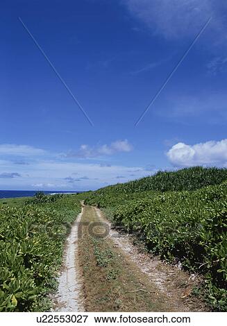 The Way Of The Beach View Large Photo Image Stock Photo - The Way Of The Beach. Fotosearch