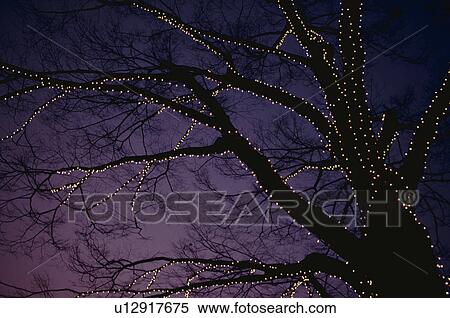 Stock Photography - Christmas Illuminations. Fotosearch