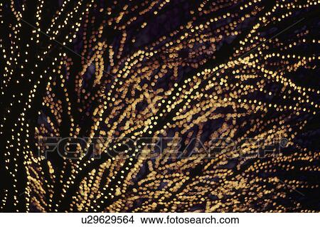 Picture - Illuminations. Fotosearch