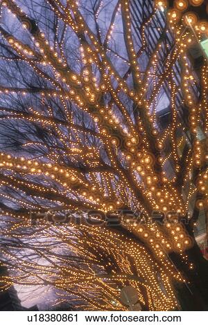 Stock Image - Illuminations. Fotosearch