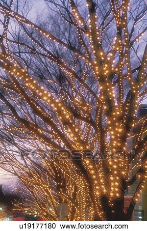 Stock Image - Illuminations. Fotosearch