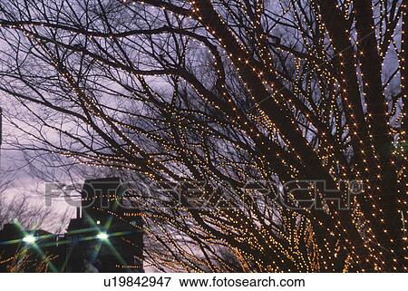 Illuminations View Large Photo Image Stock Photo - Illuminations. Fotosearch