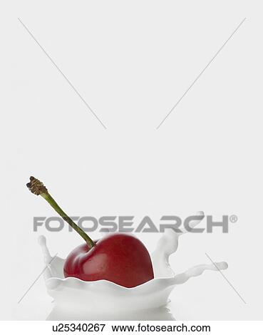 Cherry Falling on Milk View Large Photo Image Stock Photo - Cherry Falling on Milk. Fotosearch