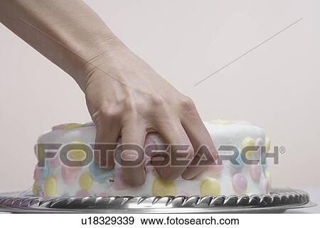 Woman's hands on cake (close-up) View Large Photo Image Stock Photo - Woman's hands on cake (close-up). Fotosearch