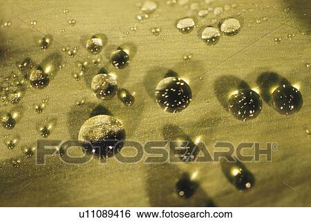 Stock Photograph - Waterdrop. Fotosearch
