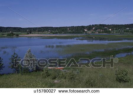 Stock Photo - A Forest And A Lake. Fotosearch