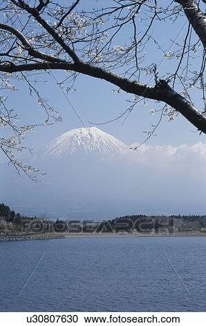 Lake Tanuki And Mt. Fuji View Large Photo Image Stock Image - Lake Tanuki And Mt. Fuji. Fotosearch