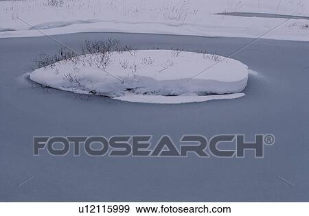 Snowy Tussock In Frozen Pond View Large Photo Image Stock Photo - Snowy Tussock In Frozen Pond. Fotosearch