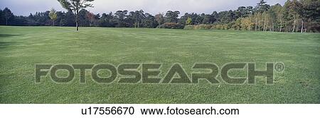 Stock Image - The Lawn Of A Golf Course. Fotosearch