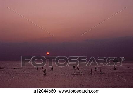 Windsurfing At Dawn View Large Photo Image Stock Image - Windsurfing At Dawn. Fotosearch