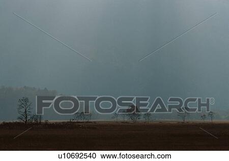 Field In Mist View Large Photo Image Stock Image - Field In Mist. Fotosearch