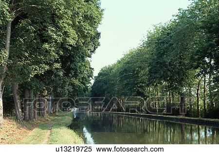 Trees By River View Large Photo Image Stock Photography - Trees By River. Fotosearch
