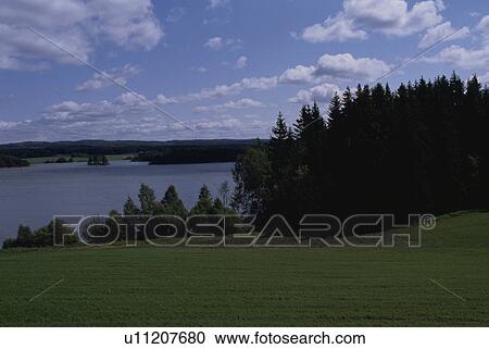 A Forest And A Lake View Large Photo Image Stock Image - A Forest And A Lake. Fotosearch