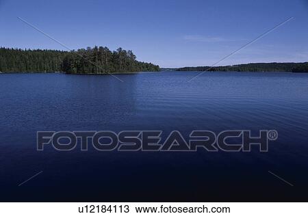 A Forest And A Lake View Large Photo Image Stock Image - A Forest And A Lake. Fotosearch