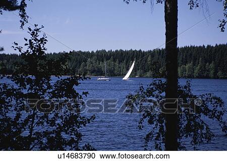 Stock Image - A Forest And A Lake. Fotosearch