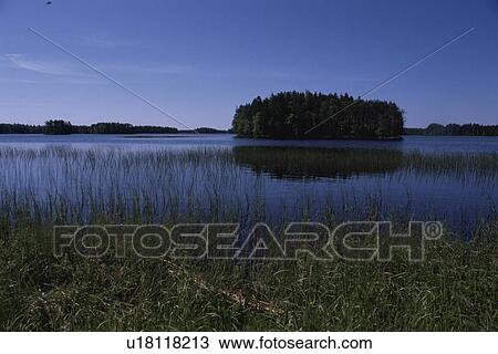A Forest And A Lake View Large Photo Image Stock Image - A Forest And A Lake. Fotosearch