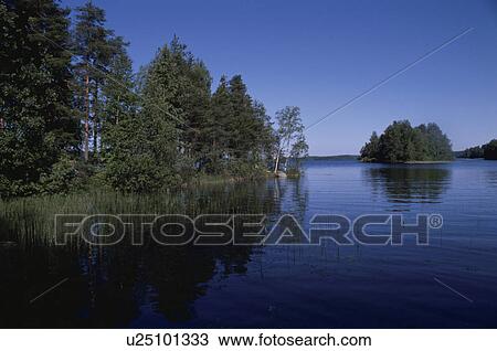 A Forest And A Lake View Large Photo Image Stock Image - A Forest And A Lake. Fotosearch