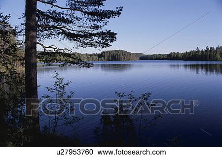 A Forest And A Lake View Large Photo Image Stock Image - A Forest And A Lake. Fotosearch