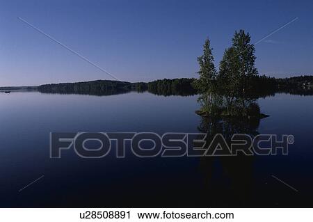 Stock Image - A Forest And A Lake. Fotosearch