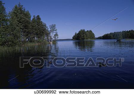 A Forest And A Lake View Large Photo Image Stock Image - A Forest And A Lake. Fotosearch