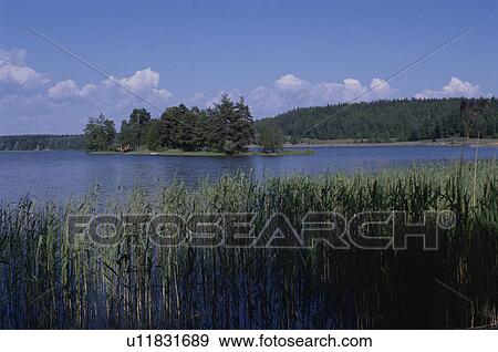 A Forest And A Lake View Large Photo Image Stock Photo - A Forest And A Lake. Fotosearch