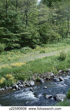 A River And A Path View Large Photo Image Stock Photo - A River And A Path. Fotosearch