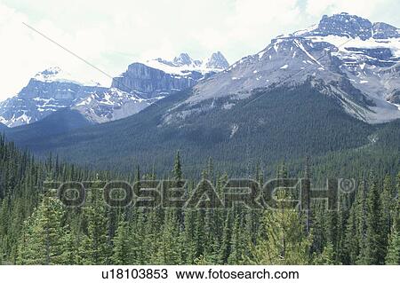 Canadian Rockies View Large Photo Image Stock Image - Canadian Rockies. Fotosearch