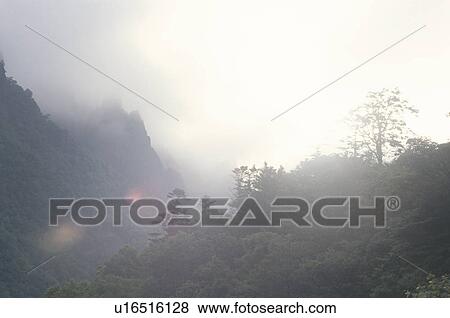 Foggy Mountain View Large Photo Image Stock Photo - Foggy Mountain. Fotosearch