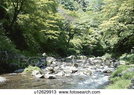 Green And A Mountain Stream View Large Photo Image Stock Image - Green And A Mountain Stream. Fotosearch