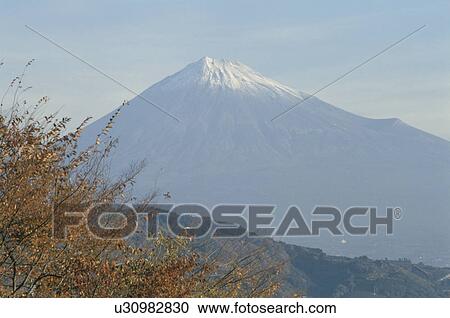 Mt. Fuji View Large Photo Image Stock Image - Mt. Fuji. Fotosearch