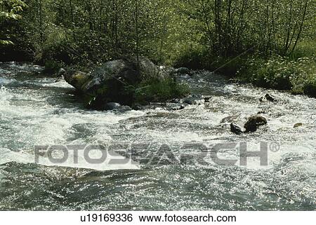 Stock Photograph - Oirase River. Fotosearch