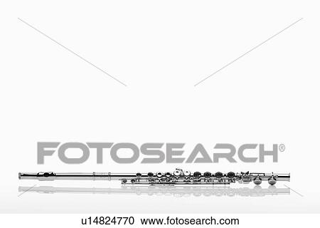 Single flute View Large Photo Image Stock Image - Single flute. Fotosearch